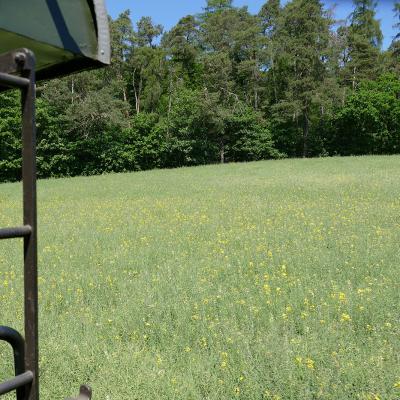 Mit dem Hessencourrier von Kassel nach Naumburg