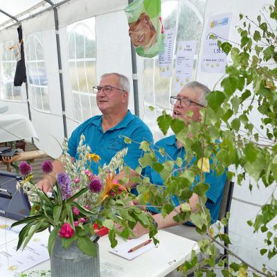 Sommerfest des BGV 1862 Naumburg in 2025