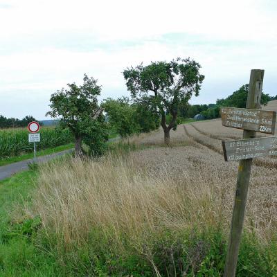 Sommerfahrt - Fahrt in´s Blaue - des BGV