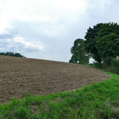 Sommerfahrt - Fahrt in´s Blaue - des BGV