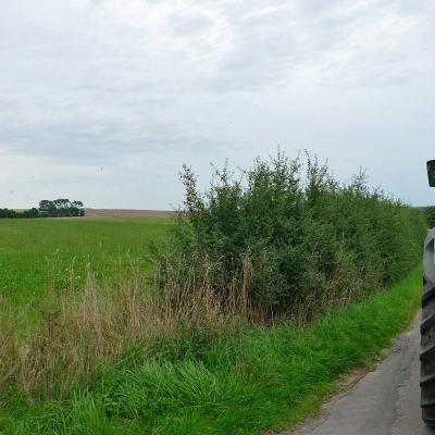 Sommerfahrt - Fahrt in´s Blaue - des BGV