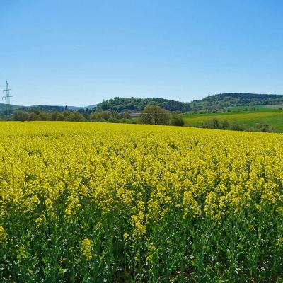 1. Maiwanderung des BGV