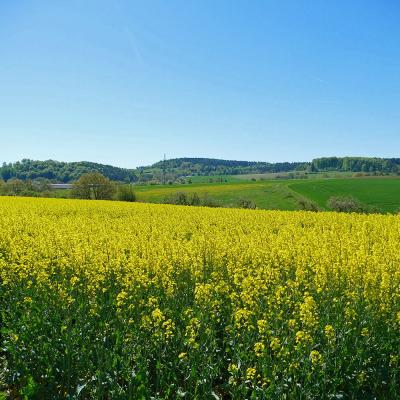 1. Maiwanderung des BGV