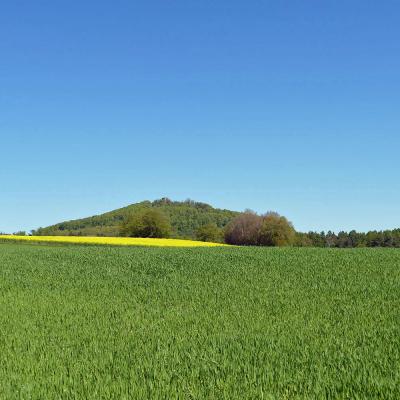 1. Maiwanderung des BGV